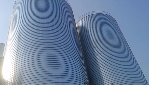 硚口2座混凝土高架卷板仓